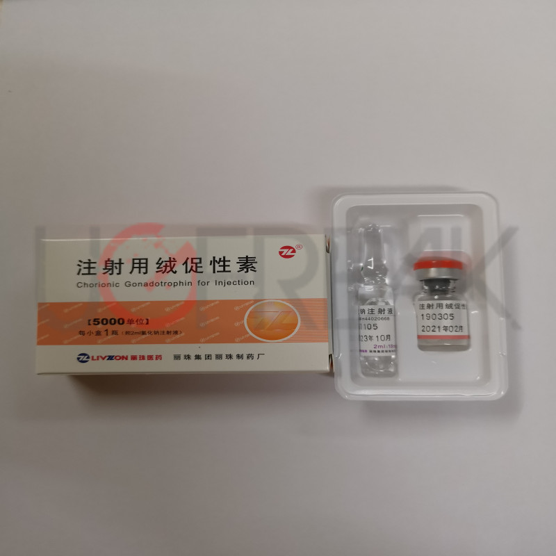 hcg 5000 iu livzon intl 5000iu amp solution pharmacy gears.jpeg